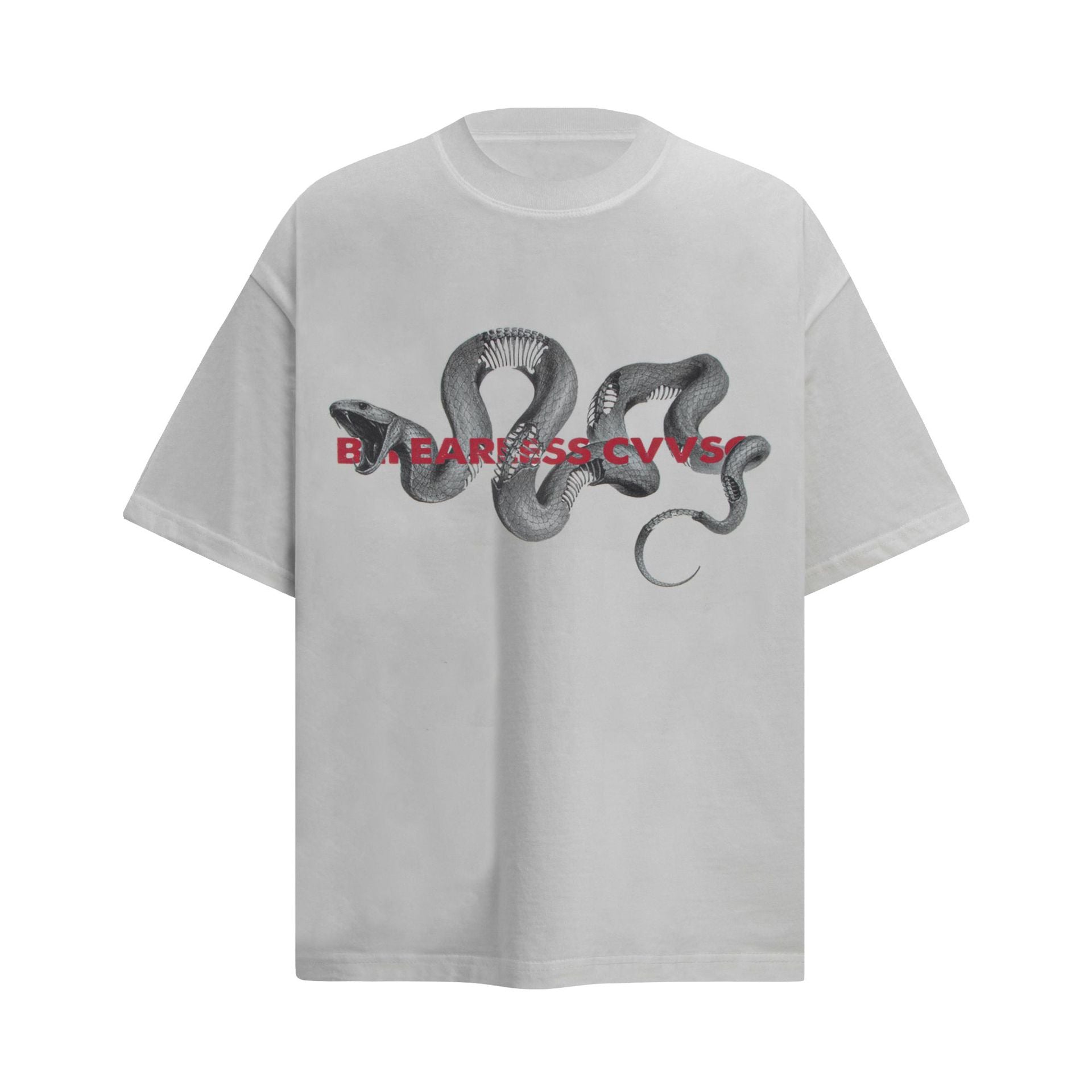 Python Print Graphic Tee